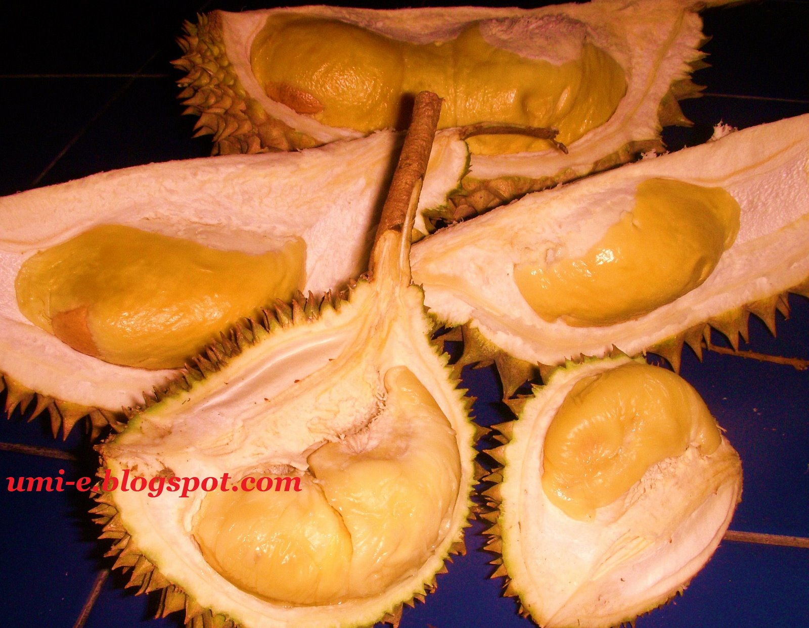 [durian.JPG]