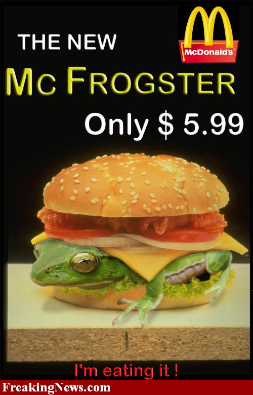 [McDonalds-McFrogster--3786.jpg]