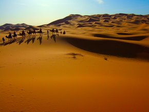 [Erg+Chebbi,+Dunes+Morocco.jpg]
