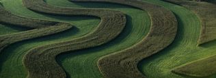 [100253~A-Farm-with-Curved-and-Twisting-Fields-Posters.jpg]