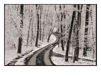 [101628~A-Road-Running-Through-Snow-Covered-Woods-Posters.jpg]
