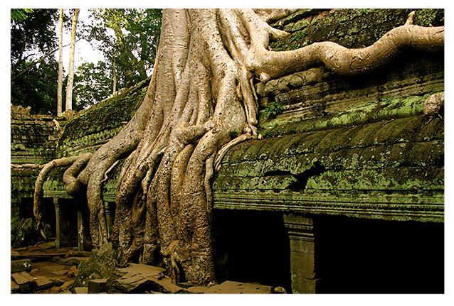[Angkor_post2.jpg]