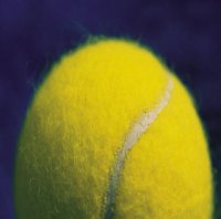 [tennis-ball.jpg]