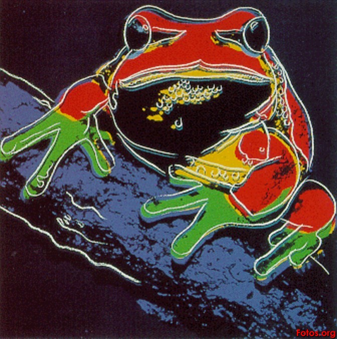 [3Andy-Warhol-Frog.jpg]