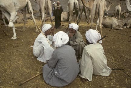 [egypt_camel_traders.jpg]