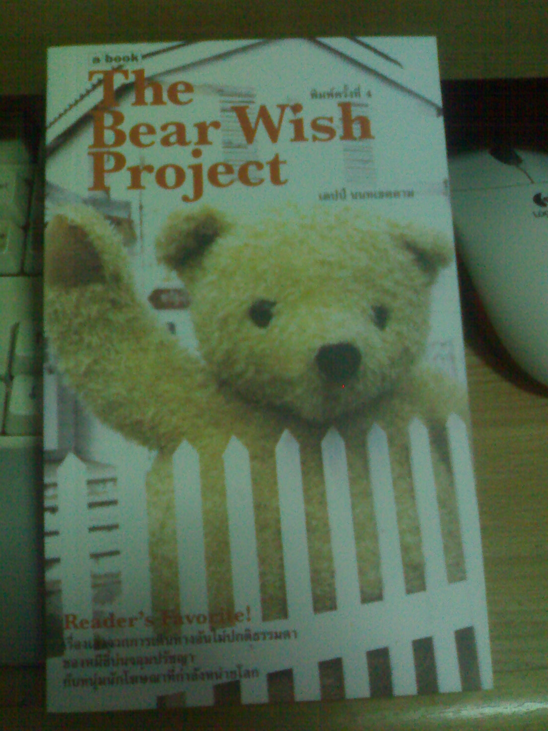 [The+Bear+Wish+Project.JPG]