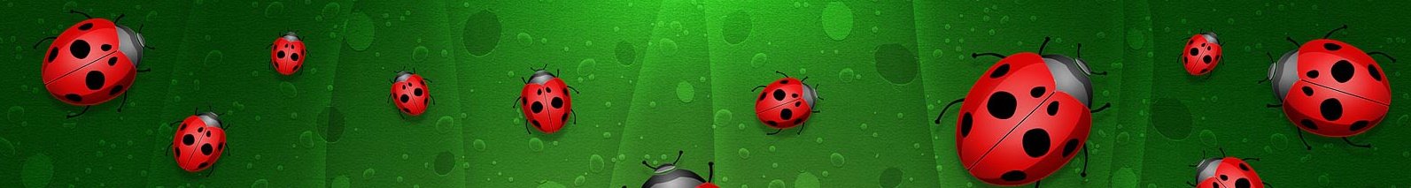 [ladybug+border.jpg]