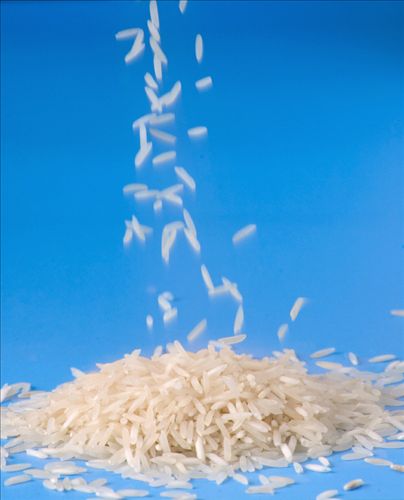 [grains+falling+on+a+pile+of+uncooked+white+rice_1.jpg]