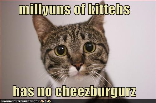 [LOLcats-has-no-cheezburgurz.jpg]