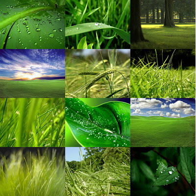 green wallpapers. Green Vista Wallpapers