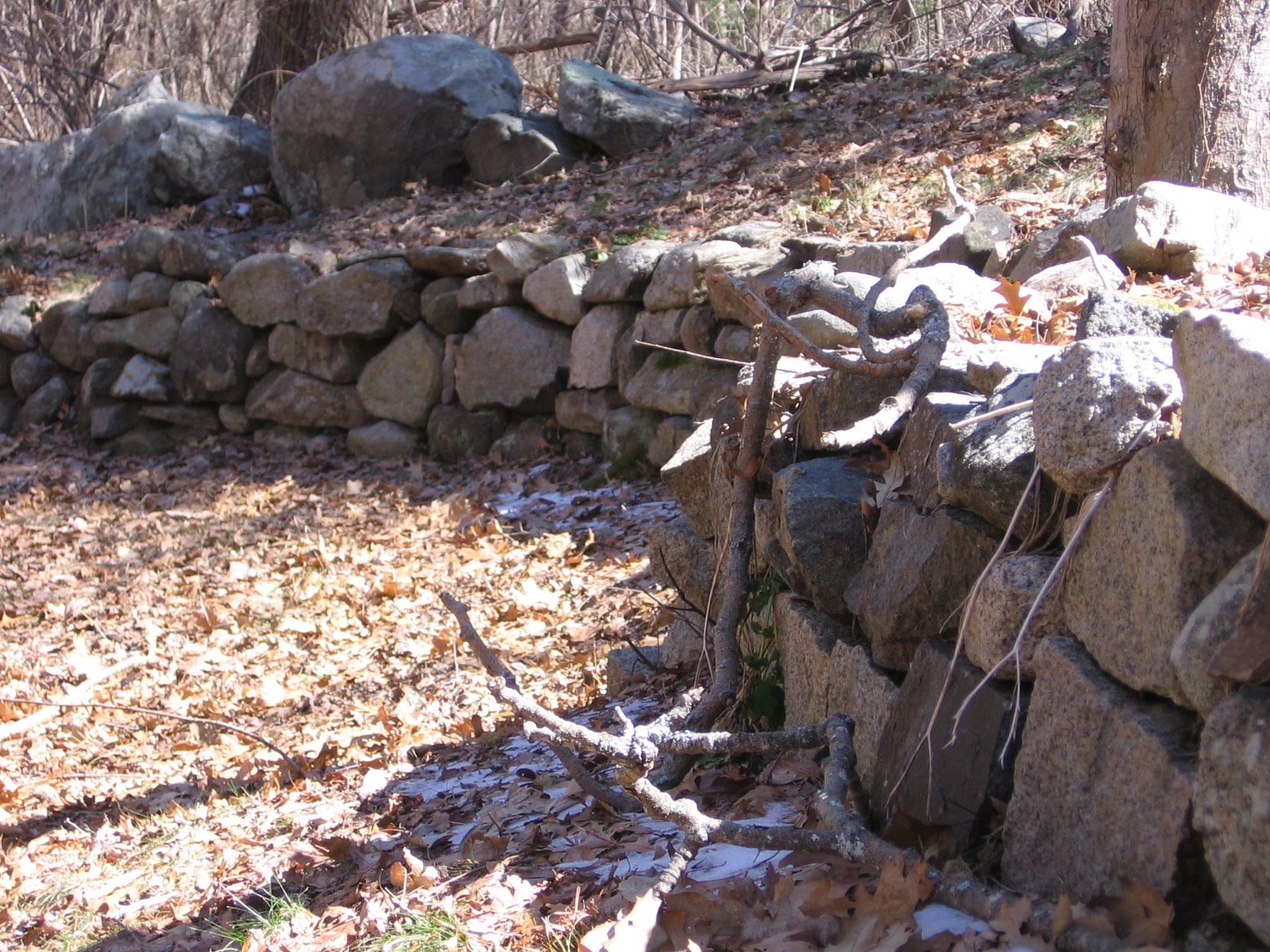[Stone+wall+in+the+yard.JPG]