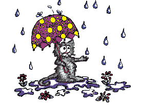 [cat-rain.jpg]