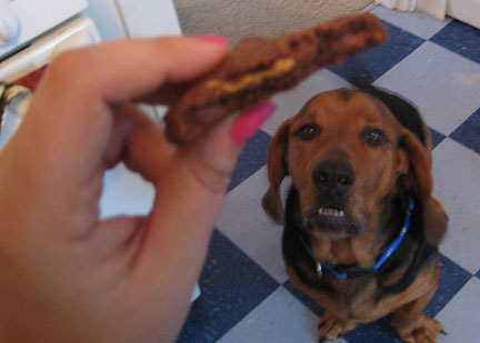 [Rocco+want+cookie.jpg]