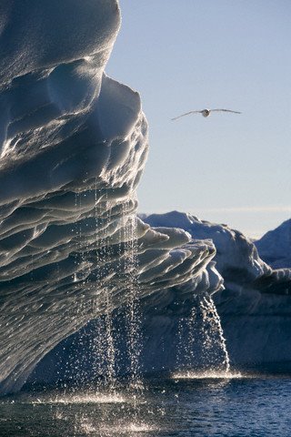 [melting-icebergs-in-disko-bay.jpg]