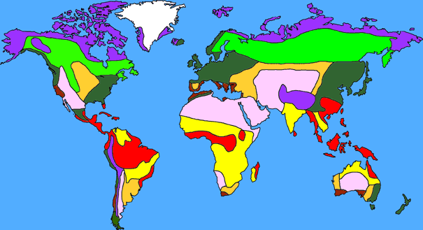 [World+veg+map.gif]