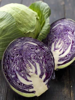 [cabbage300w.jpg]