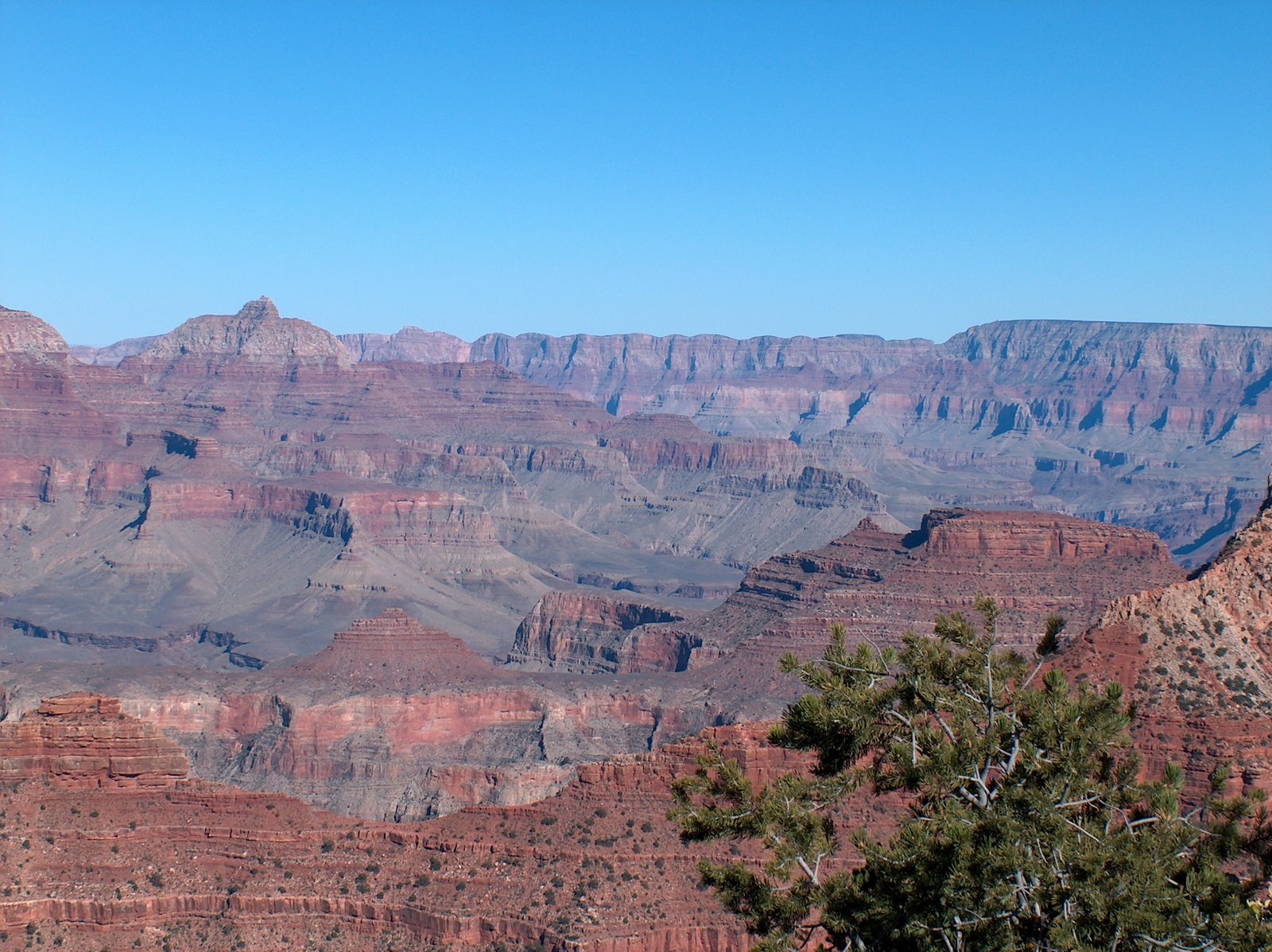 [2_Grand_Canyon08.jpg]