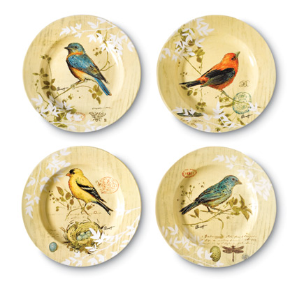 [bird+plates.jpg]