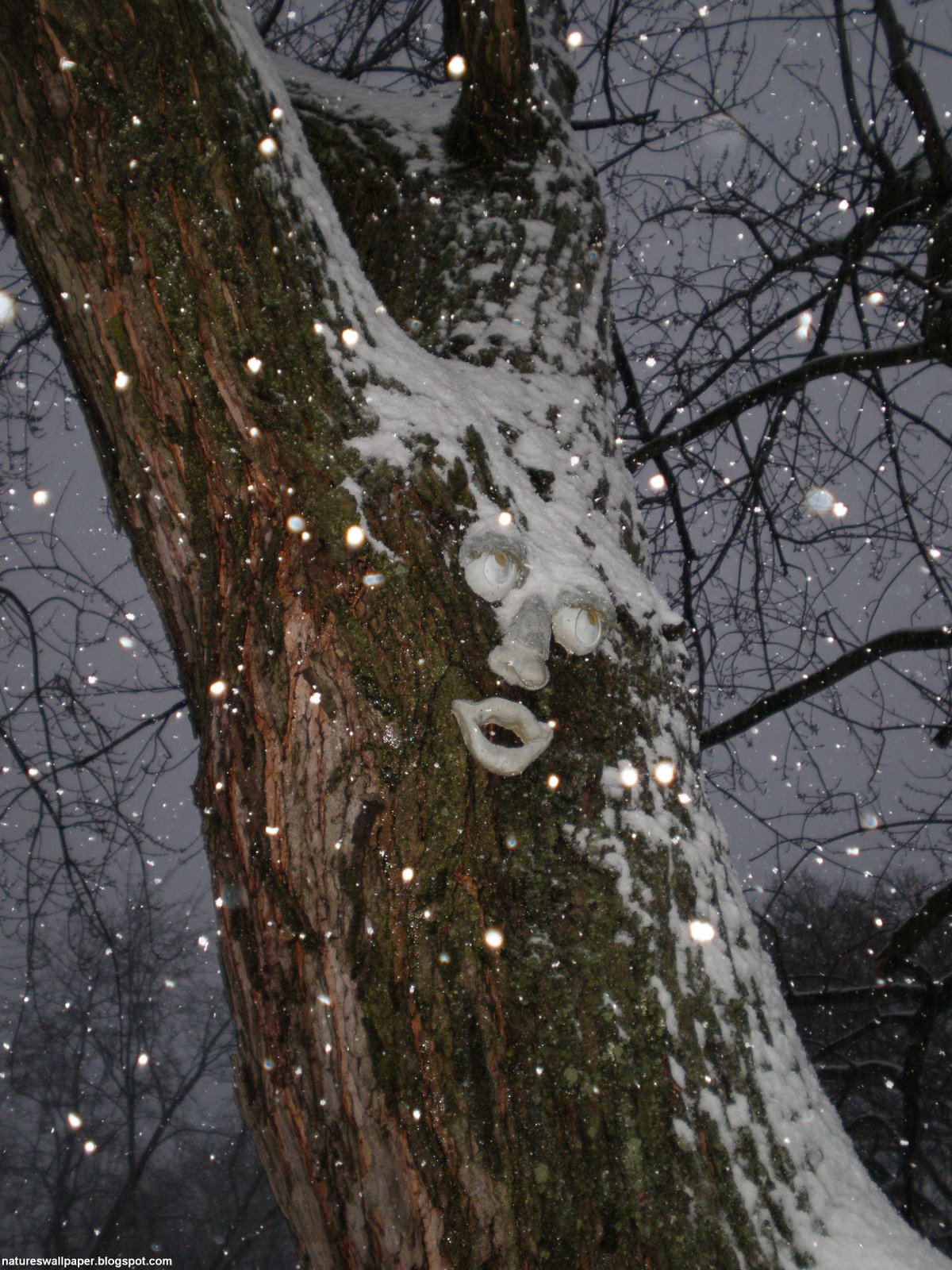 [Snowy+Evening.jpg]
