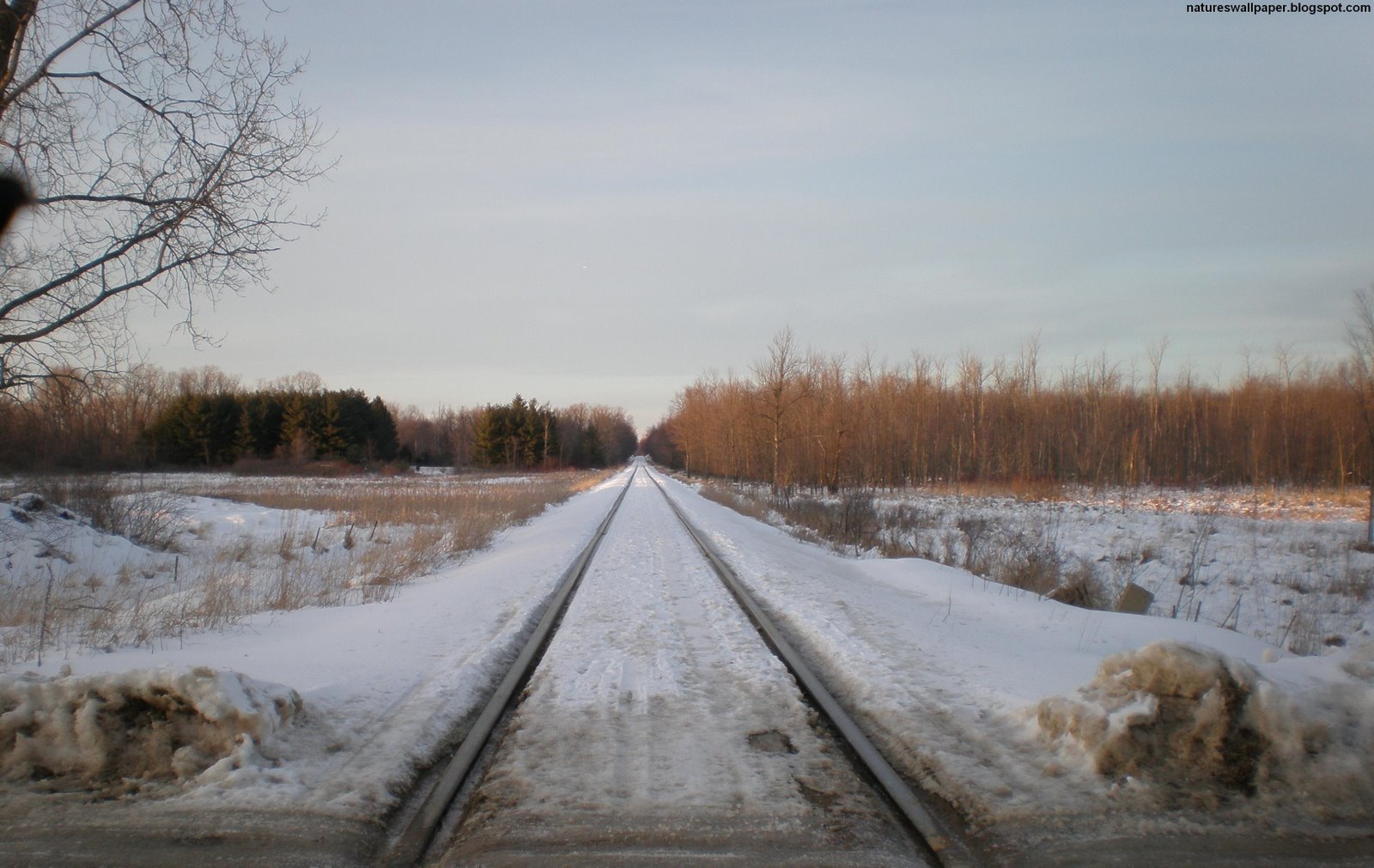 [Looking+Down+The+Rail+Road+Tracks+In+Wintertime.jpg]