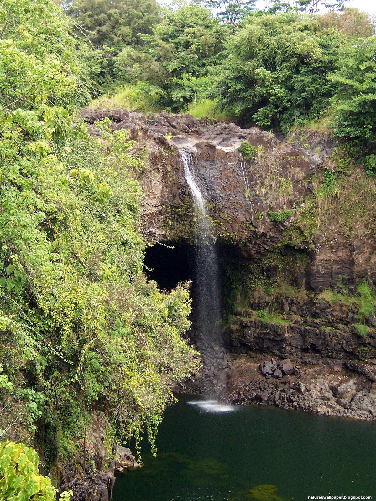 [Waterfall+in+Hawaii.jpg]