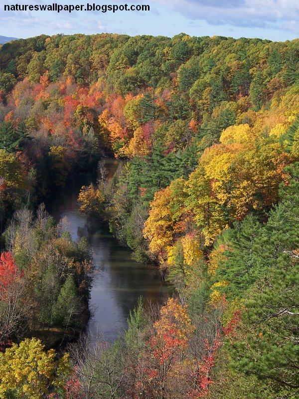 [Fall+Colors+Overlooking+A+River.jpg]