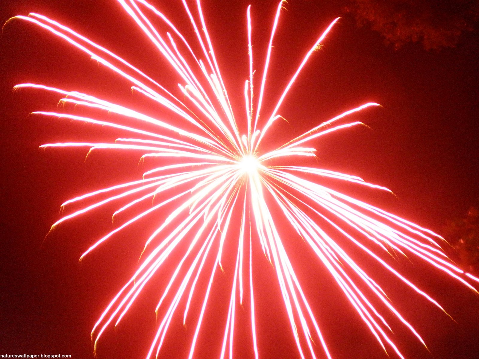 [Red+blast+fireworks.jpg]