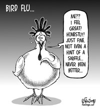 [bird-flu.jpg]