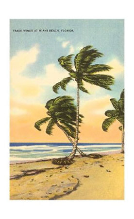 [miami-beach-palm-trees-painting.jpg]