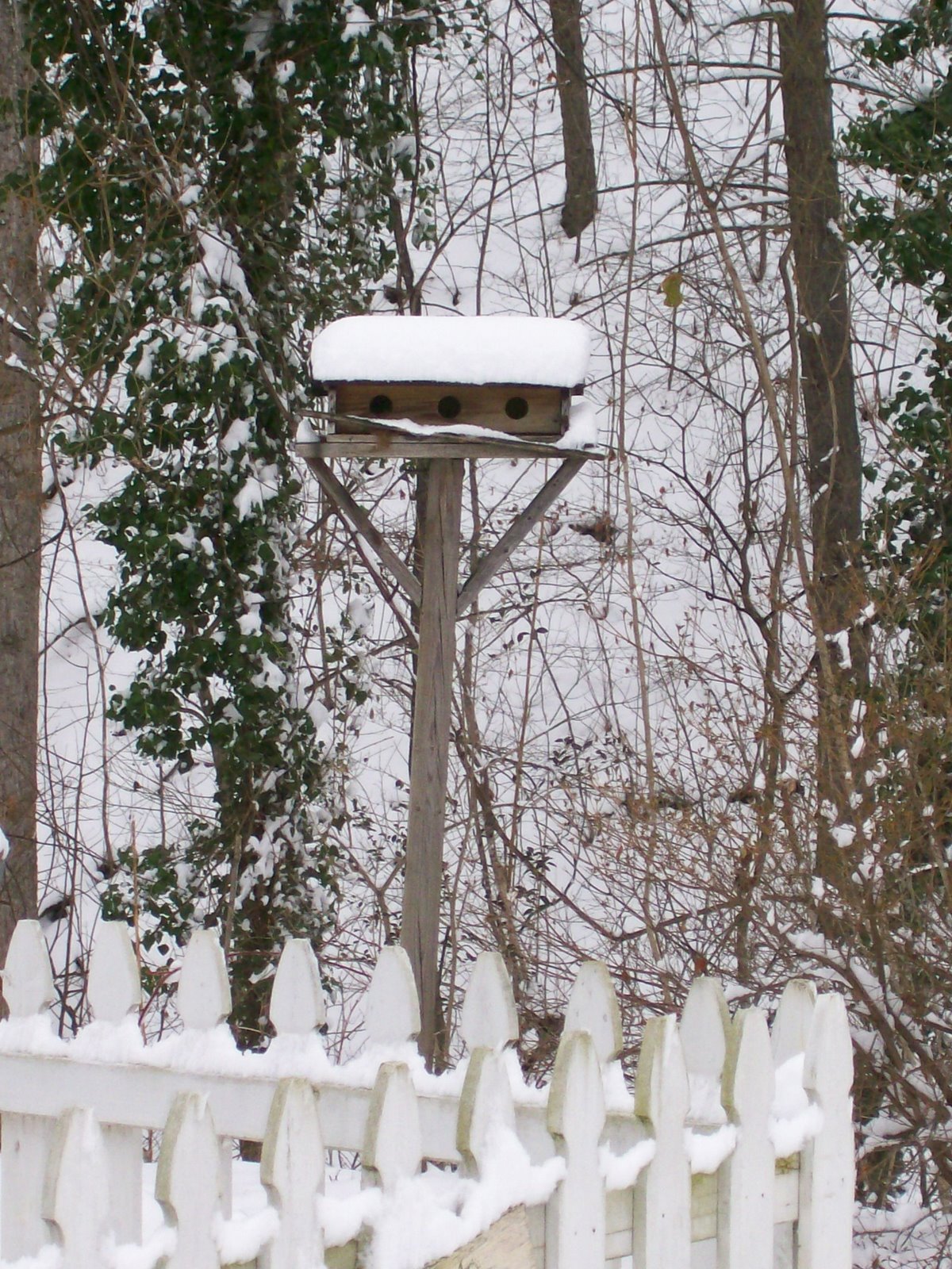 [birdhouse+it+snowed+1-17-08.JPG]