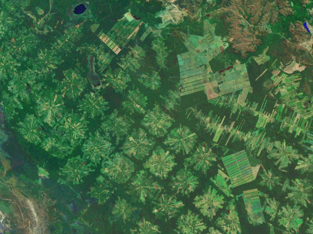 [deforestacija_brazil_amazona.jpg]