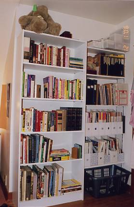 [after+bookshelves.jpg]