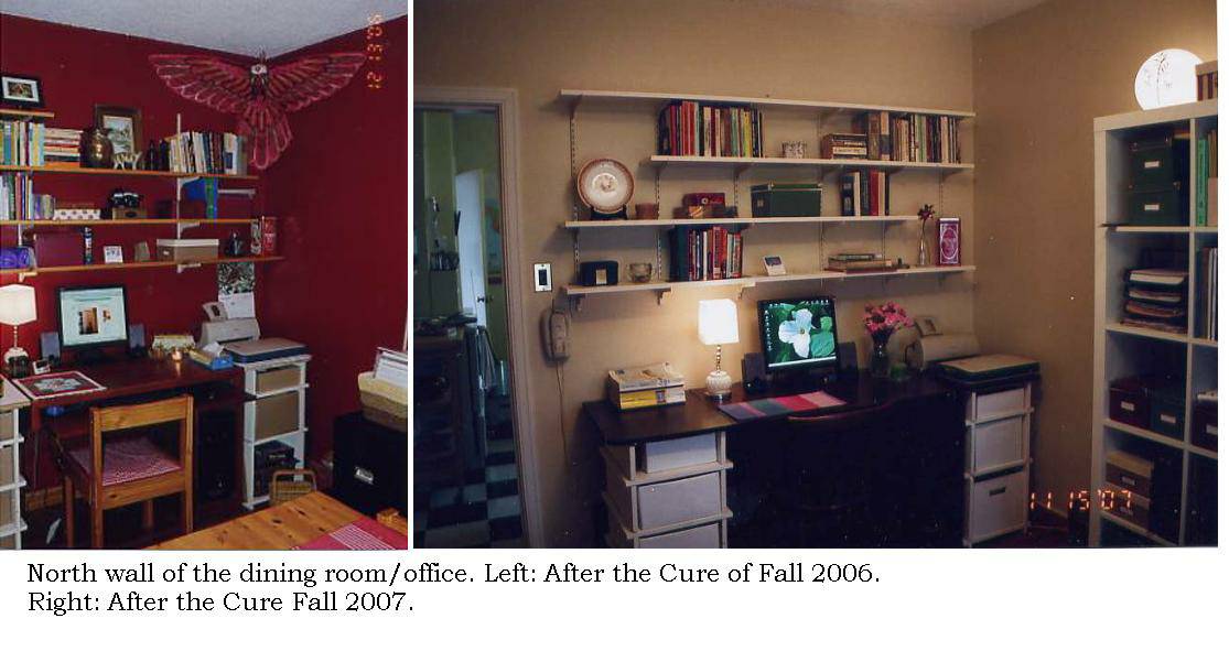 [wall+of+shelves+before+and+after+cure+fall+07.JPG]