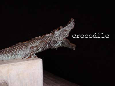 [croc.jpg]