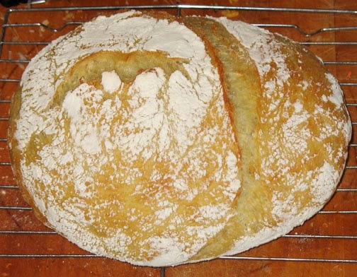 [Mmm+Bread+sidewaysweb.jpg]