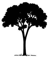 [Tree+Silhouette.gif]