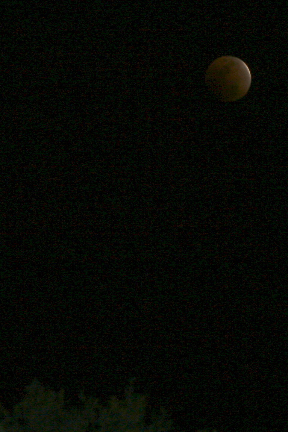 [total+eclipse+of+the+moon.JPG]