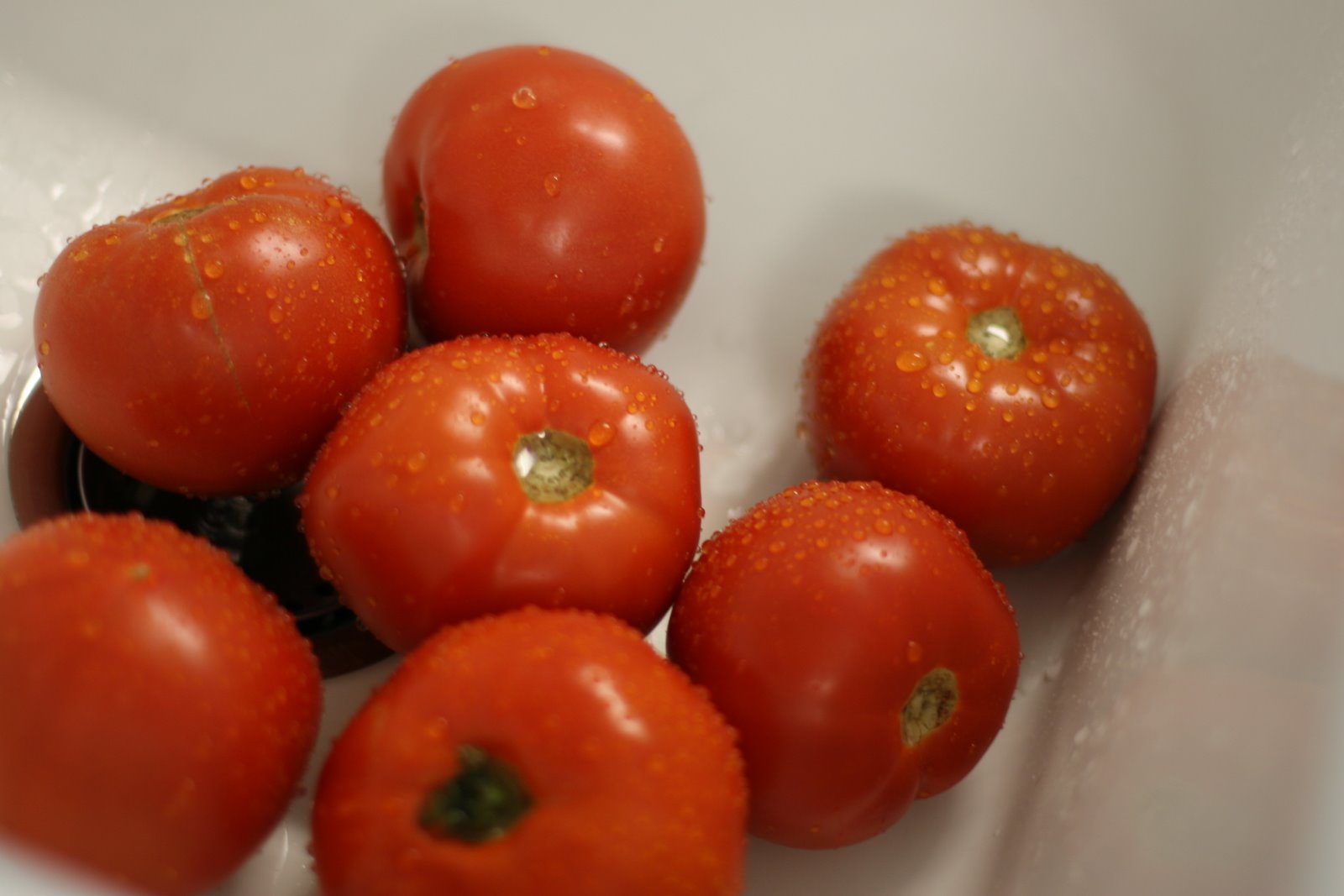 [tomatoes+in+the+sink.JPG]