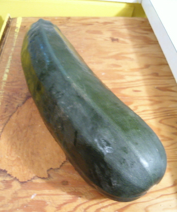 [zucchini-squash-oct-2007.JPG]