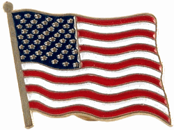 [united-states-flag_1999_31068179.gif]