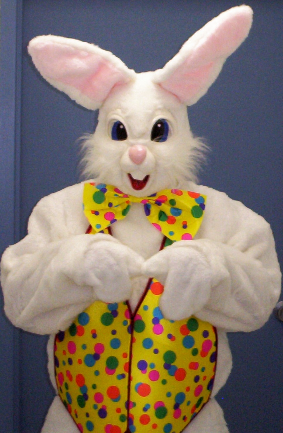 [EASTER+BUNNY+PICTURE.jpg]