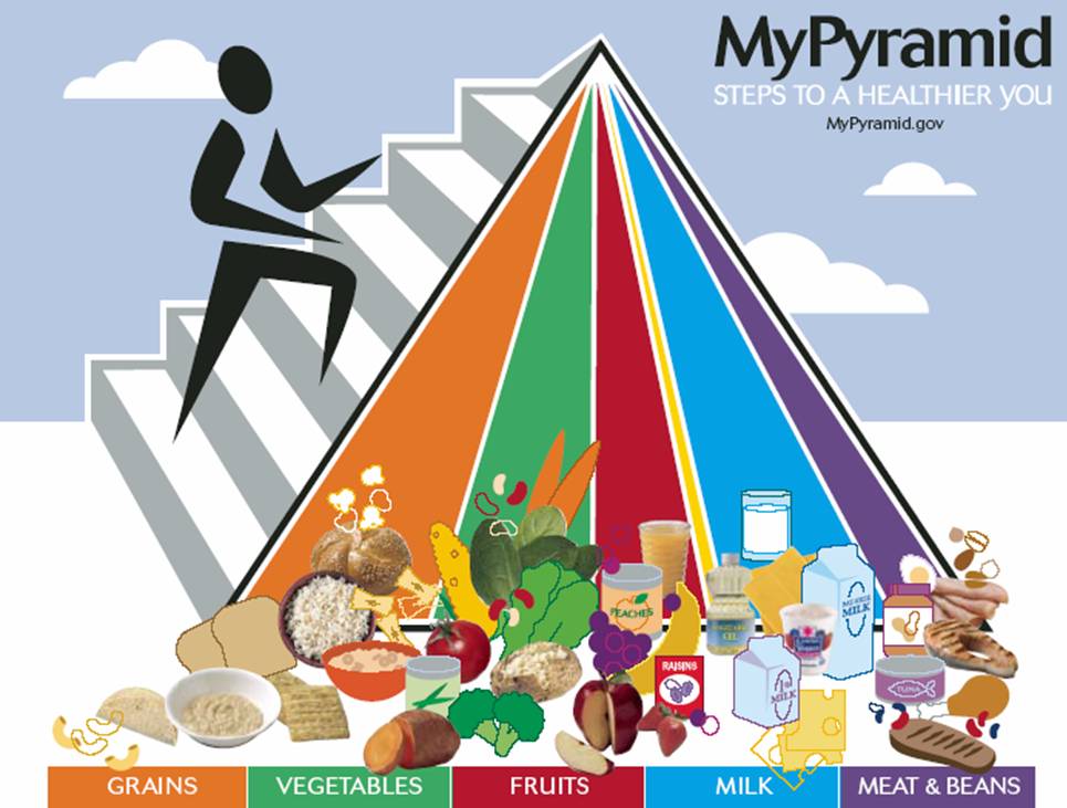 [foodpyramid.jpg]