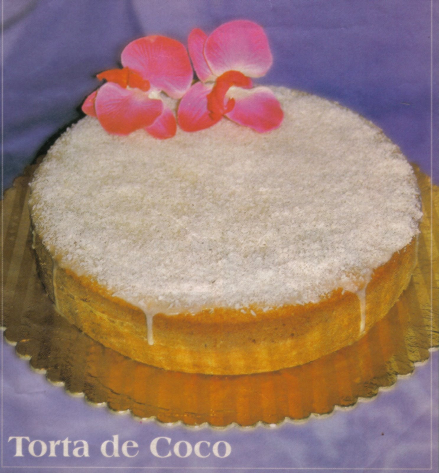 [torta+de+coco.jpg]