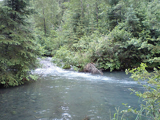 humpy creek