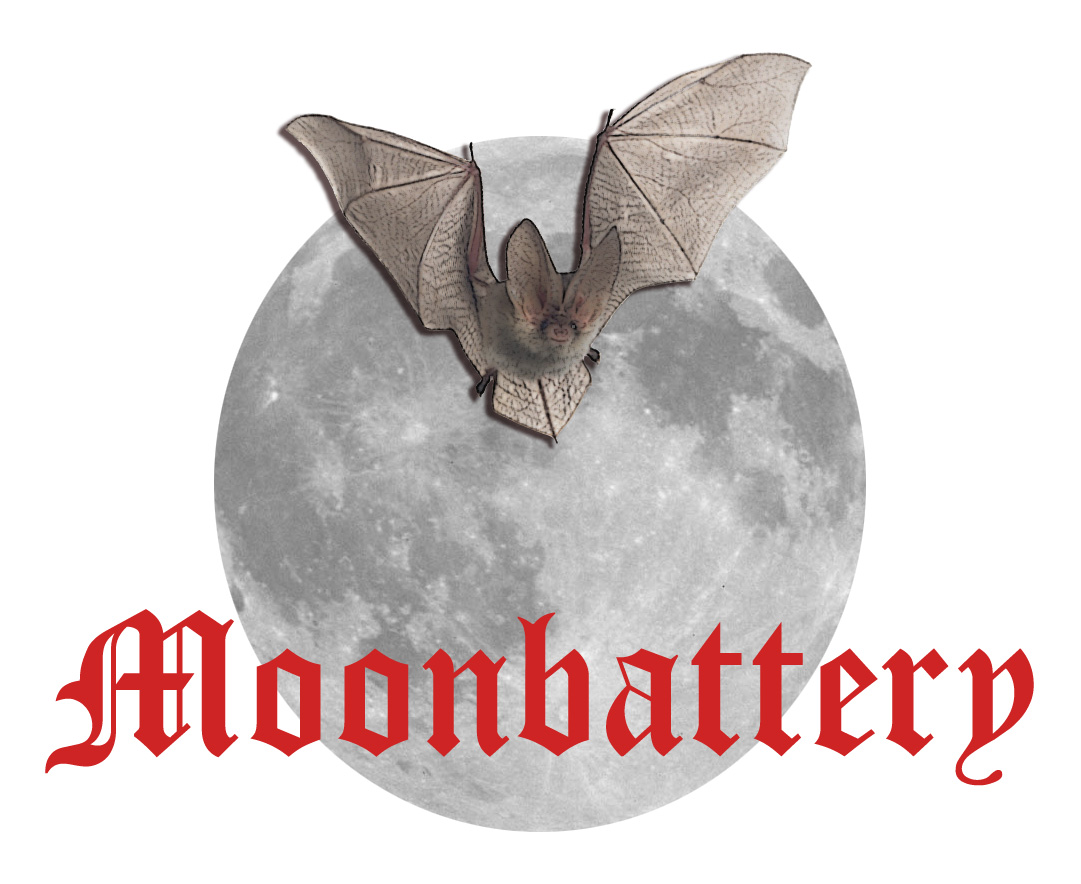 [Moonbattery+-+Blog+of+the+Month.jpg]