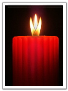 [0502280202011candle_in_the_wind_t.jpg]