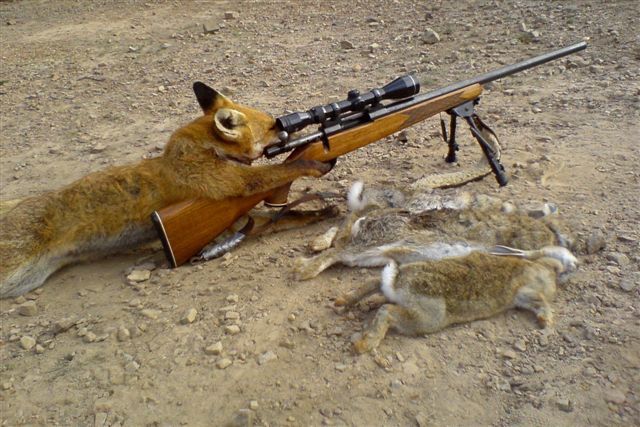 [foxhunting remington 700.jpg]