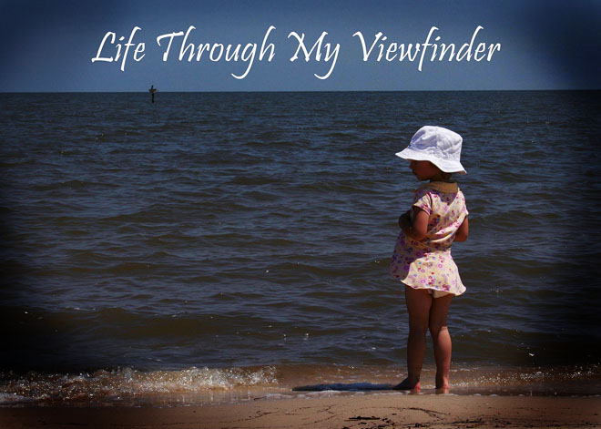 Life through my viewfinder