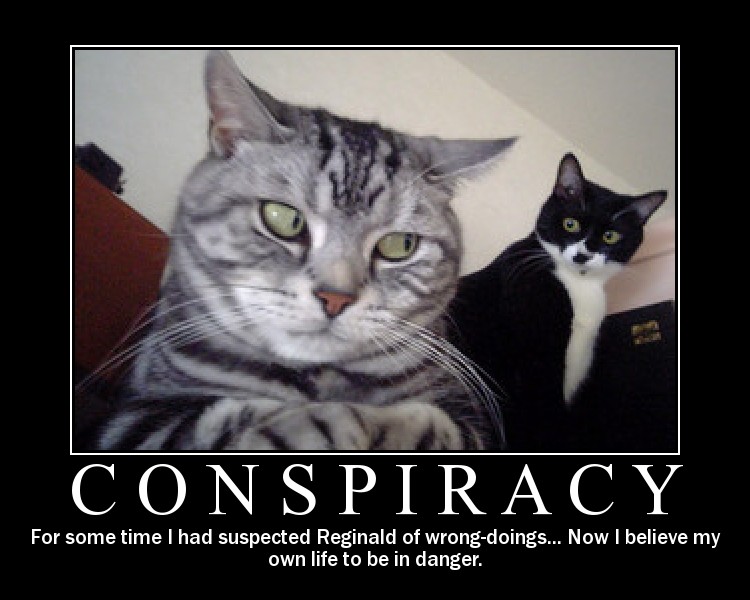 cat conspiracy