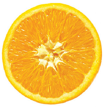 [laranja.jpg]